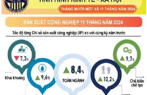 nfographic tình hình kinh tế – xã hội tháng Mười Một và 11 tháng năm 2024